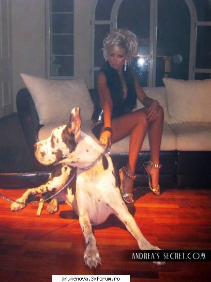 PiCs - Ce dulau! Ptbull Pe dreq - Gallery